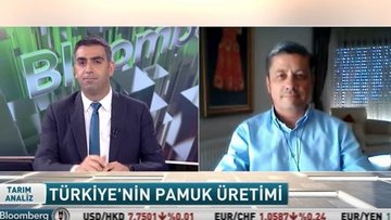 Pamukta tehlike sinyalleri çalıyor