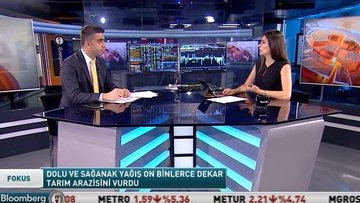 300 bin dekar tarım arazisi dolu ve aşırı yağıştan hasar gördü