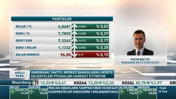 Rabobank/ Matys: Dolar/TL'de görülen bant yapay bir seviye