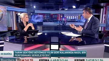 Tarım sektöründeki büyümenin neden ve sonuçları