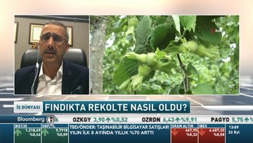 Fiskobirlik/Bayraktar: Bu yıl 600 bin tonluk rekolte tahminimiz 20 bin ton altına düşebilir