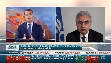 UEA/Fatih Birol: Salgından en fazla petrol, en az yenilenebilir enerji etkilendi
