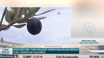 "Suriye zeytinyağının iç pazara sunulması çok büyük sıkıntı yaratıyor"