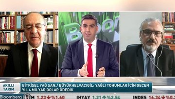 "Yağlı tohumlar ithalatına 3,8 milyar dolar ödedik"