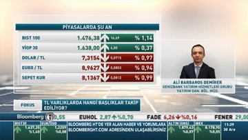 TL varlıklarda hangi başlıklar takip ediliyor?