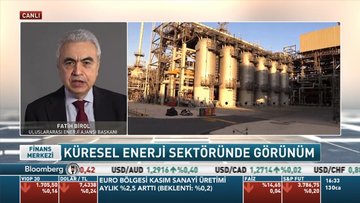 UEA/Fatih Birol: ABD'de yeni yönetim geldikten sonra yeşil bonolara olan ilgi hızlanacak