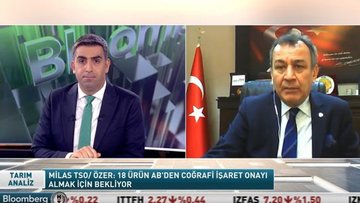 Milas zeytinyağı AB coğrafi işaret tescilini nasıl aldı?