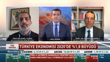 Akademisyenler büyüme verilerini  nasıl yorumladı?