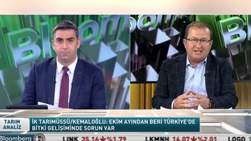 "Buğday rekoltesinde kayıp yüzde 15-20'yi bulabilir"