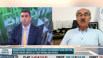 Prof. Dr. Sarı: Marmara Denizi atık çukuru olarak kullanıldı