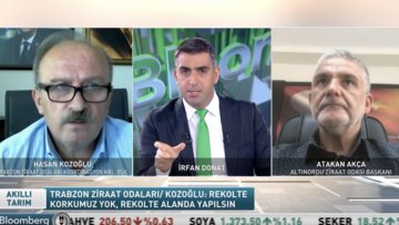 Fındıkta rekolte ve fiyat tartışması