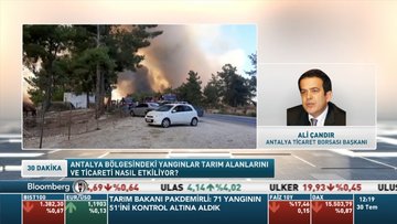 ATB/Çandır: 16 bin dekar alan, 750 hayvan, 360 kovan ilk tespitlere göre kaybedildi