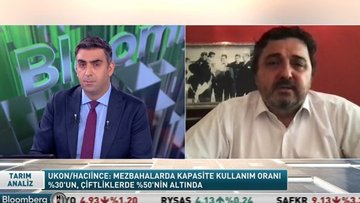 Besi çiftlikleri ve mezbahalarda kapasite kullanım oranı yüzde 50'nin altına indi