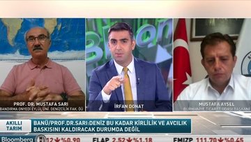 Edremit Körfezi'nde yapay resif projesi