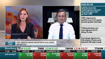 ILO Türkiye/ Özcan: Türkiye, istihdamdaki kişi sayısını 4 yıldır artıramıyor