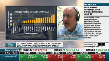 Fitch Ratings/ Coulton: Türkiye'de gelecek yıl faizlerin yukarı çıkmasını bekliyoruz