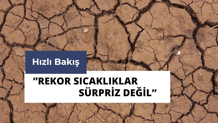 Dünyada ve Türkiye'deki sıcaklıklar neden rekor kırıyor?