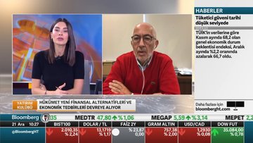 "Türk Lirası bir anlamda dolara "çıpalandı""