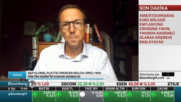 "OPEC+'nın üretim kesintisi kararı sembolik"