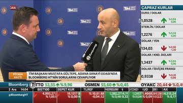 TİM/Gültepe: Parite etkisi olmasa 267 milyar dolar ihracattan bahsedebilirdik