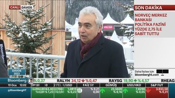 UEA/Birol: Gelecek kış daha zor geçebilir