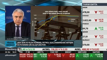 UEA Başkanı Birol'dan petrol fiyatı uyarısı