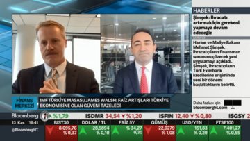 IMF Türkiye Masası Şefinden TCMB yorumu