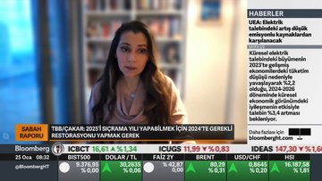 "Kızıldeniz'deki durumun ilerleyen vadede enflasyonist olma riski var"