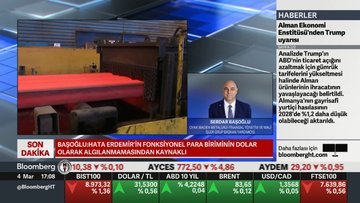 Bank of America, Erdemir için yazdığı raporu değiştirdi