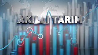 AKILLI TARIM - AYÇİÇEĞİNDE REKOLTE VE FİYAT BEKLENTİLERİ | 30 TEMMUZ 2024