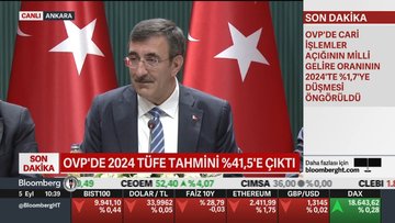 OVP'de enflasyon tahminleri yükseldi, büyüme düştü