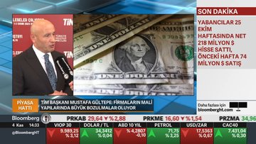 TİM Başkanı Gültepe: Finansmana ulaşmada sorun yok, oranında sıkıntı var