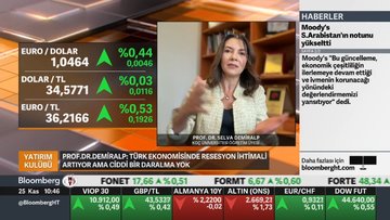 "Türk ekonomisinde resesyon ihtimali artıyor ama ciddi bir daralma yok"