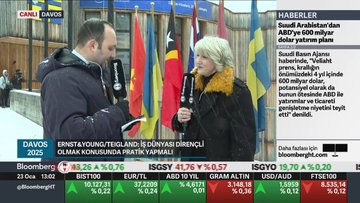 Ernst&Young/Teigland: Türkiye'de inanılmaz fırsatlar var