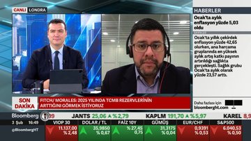 Fitch Kıdemli Direktörü'nden Türkiye analizi