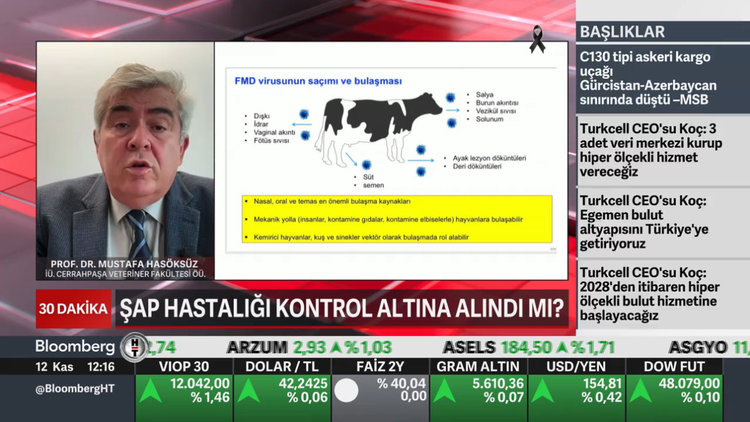 "Şap hastalığı kontrol altına alındı ancak aşılama devam etmeli"