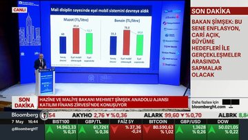 "Şoklar büyük ancak yönetilebilir"