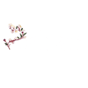 Bahar