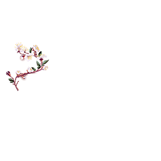 Bahar