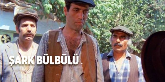 Şark Bülbülü