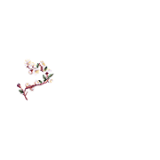 Bahar