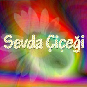 Sevda Çiçeği