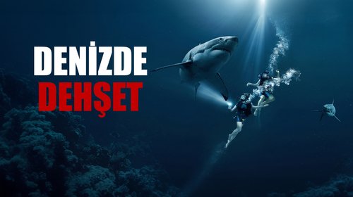 Denizde Dehşet