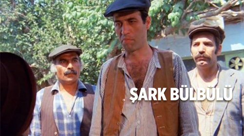 Şark Bülbülü
