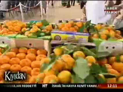 Kıyıdan 5 Aralık -1-