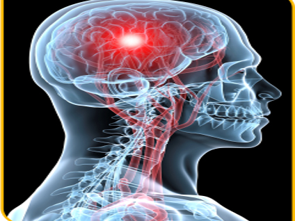 Beyin pilinin yapısı ve tasarımı nedir?