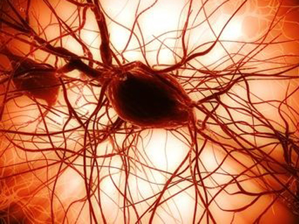 MS hastaları bebek sahibi olabilir mi?