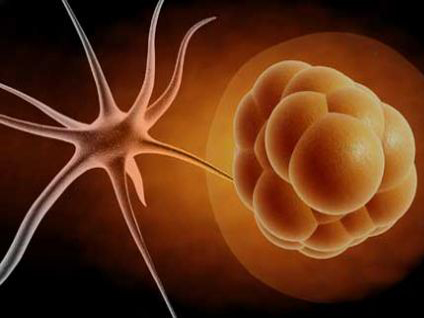 MS hastalığının nedenleri nelerdir?