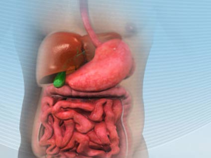 Hangi hastalıklar Gastroenteroloji uzmanlık alanının konusudur?