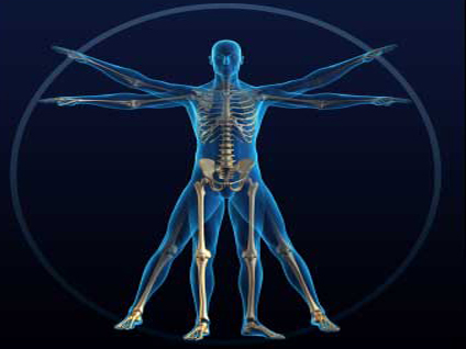 Fizik tedavi ve rehabilitasyonda robotun yeri nedir?